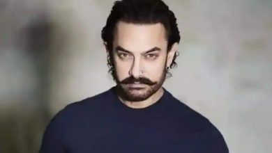 Aamir Khan: হিন্দুদের ধর্মীয় ভাবাবেগে আঘাত হেনেছেন আমির খান! ক্ষোভ উগরে দিলেন বিজেপি নেতা