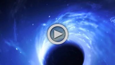 Black Hole Sound: যেন ভুতুড়ে আর্তনাদ! দেখুন নাসার প্রকাশ করা ব্ল্যাকহোল-এর হাড়হিম করা Video
